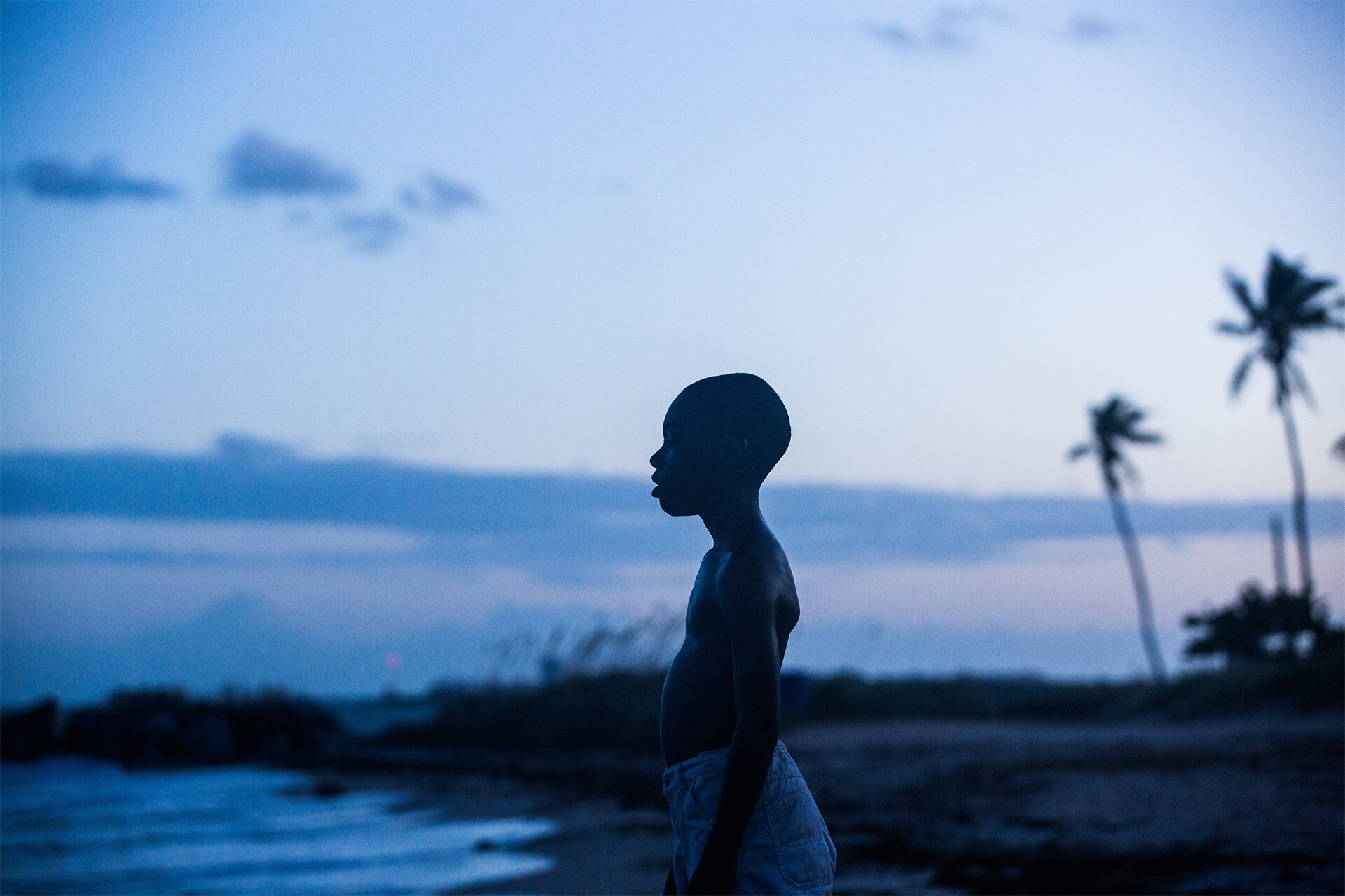 <p><em>Image credit: A24</em></p><h3><em>Moonlight&nbsp;</em>(2016)</h3><p>Oscar-winning cult classic&nbsp;<em>Moonlight&nbsp;</em>is, arguably, one of the most heartbreaking and beautiful queer films ever made. Following a young African-American boy named Chiron from a young child to adult as he navigates his sexual identity over the course of his life, this film is a slow, introspective look at contemporary experiences of male queerness in America. A stunningly simple premise, yet so powerfully executed, <em>Moonlight&nbsp;</em>is a definitive must-watch.&nbsp;</p>