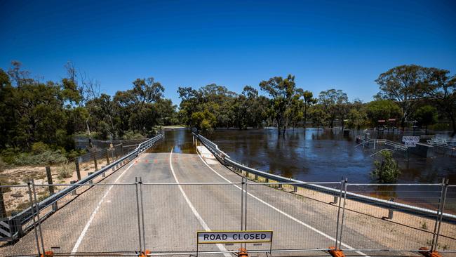 Flood water at the Bert Dix Memorial Park, at Paringa on December 2nd, 2022. Picture: Tom Huntley