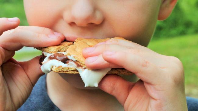 Is there anything better than a gooey s'more in winter? Image: iStock