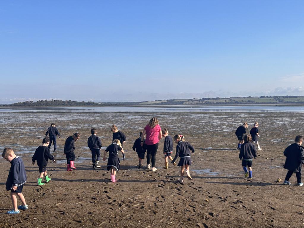 St Aloysius Catholic Primary School in Queenscliff has seen a surge in enrolments in recent years, with the school located a short walk from the beach. Picture: Supplied