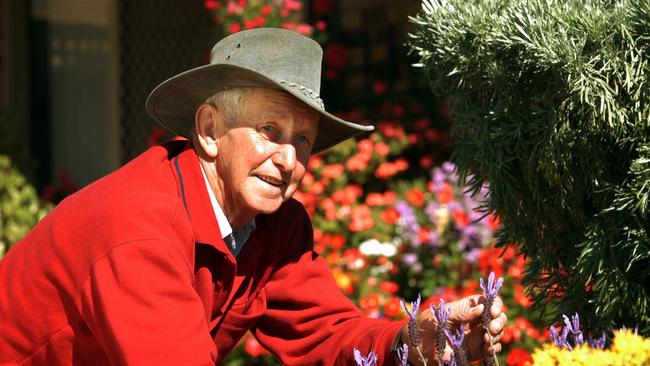 ## HAVE YOU /CHECKED COPYRIGHT /CLEARANCE ?? D/i 19 Sept 2002 David Neale in the garden of his neighbour Ross Ferdinand at the Willowglen Retirement Village in Toowoomba. Ross died 22/8/02 and David ensured his friend's garden was completed in time for the Carnival of Flowers Garden Competition. picDavid/Martinelli  aged man gardening hat profile