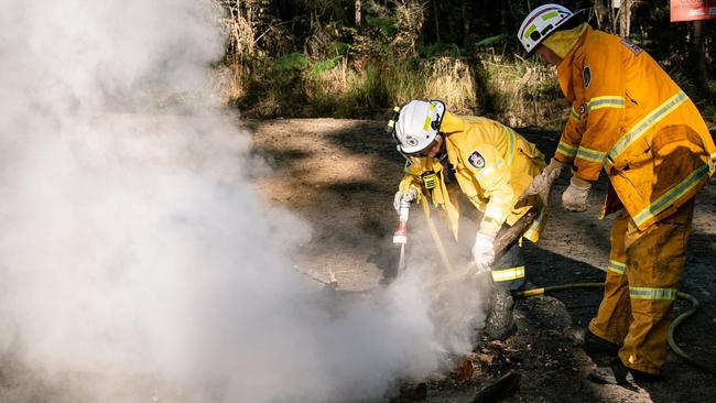 Rural Fire Service volunteers extinguish a 'sacred fire' at the anti-logging protest. Picture: Facebook