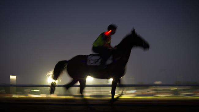 As dawn breaks over Fannie Bay Race Course training for the Darwin Cup Carnival is in full swing