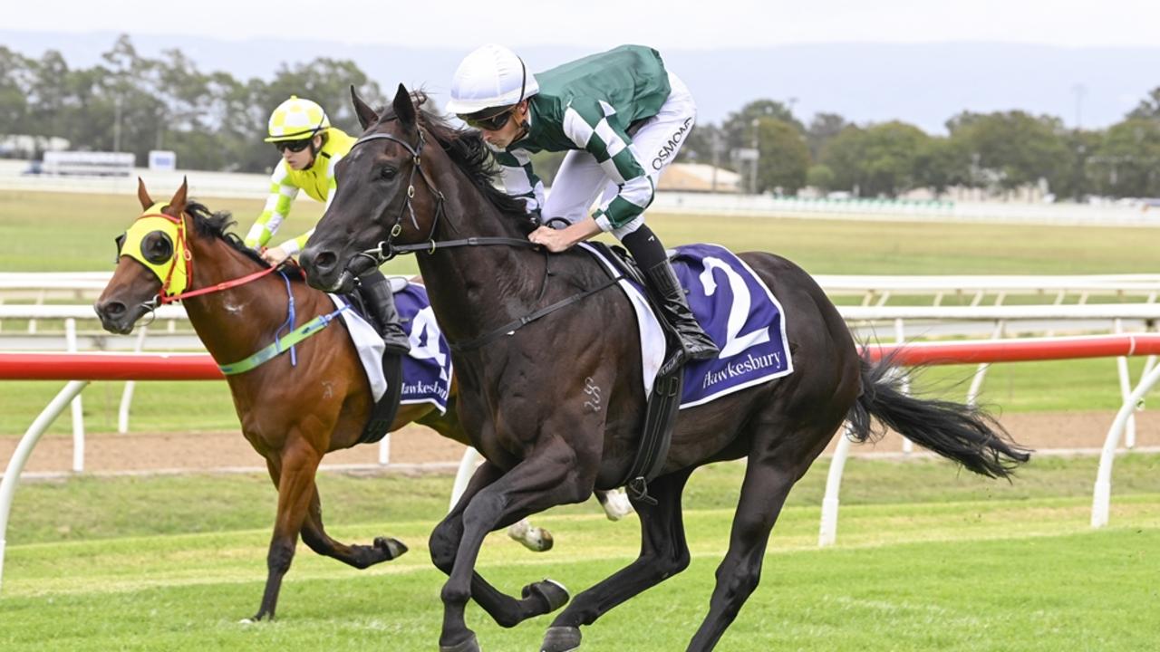 Peace centre can make it back-to-back wins when he heads to Kembla. Picture: Bradley Photos