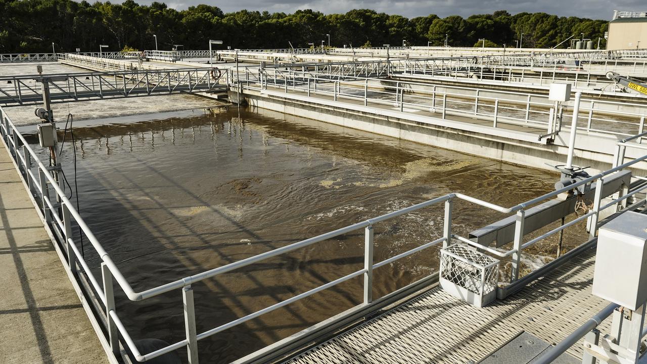 One of SA’s top public health experts tells of theory behind recent ‘strong’ COVID-19 positive wastewater test. Picture: Supplied