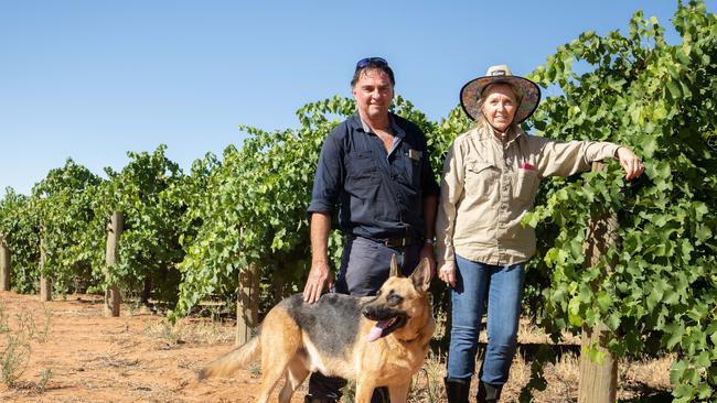 Laslo and Julie Feher at their property in Glossop with their dog Turbo. Picture: Morgan Sette