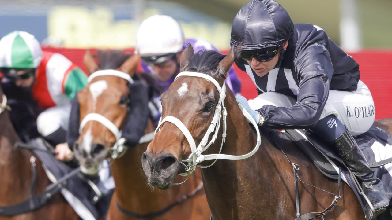 Pretty Wild is proven fresh and has trialled nicely ahead of her return to racing at Kembla on Saturday. Picture: Getty Images