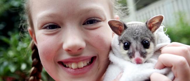 Jasmine Rasmussen had always had a passion for the environment, pictured at 10 years old with a 5-month-old brush tail possum. 