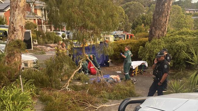 The aftermath of a tree fall in Aberfoyle Park that put two people in hospital. Picture: Facebook.