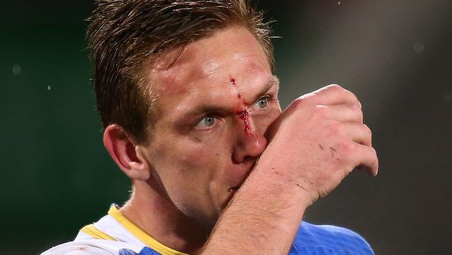 Dane Haylett-Petty is staying true to Western Force cause.