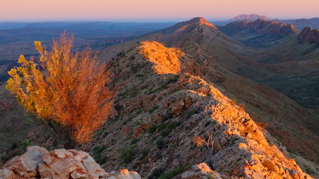 Sunrise at Counts Point, Larapinta Trail. Picture: Supplied (Louise Denton)