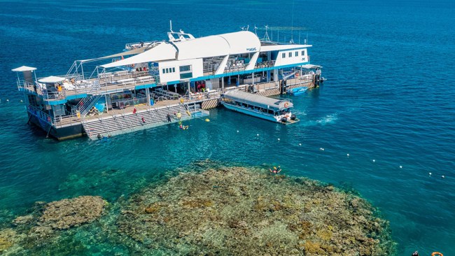 This Great Barrier Reef tour was mesmerising