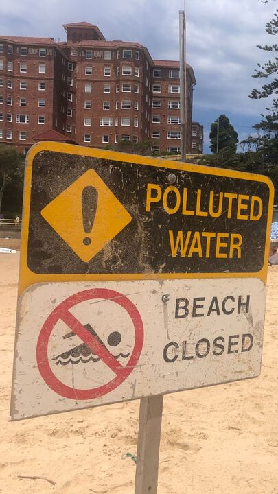 Strange grey balls wash up on Northern Beaches