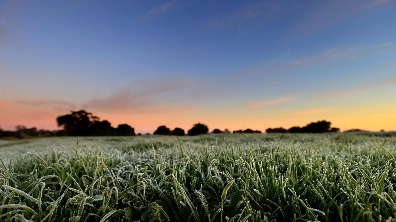 Cold conditions at the Munno Para wetlands on Monday morning. Picture: Photo Sam Wundke