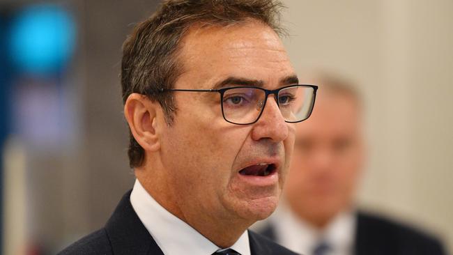 South Australian Premier Steven Marshall. Picture: AAP