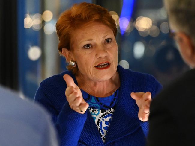 One Nation’s leader flies in with plan for more housing