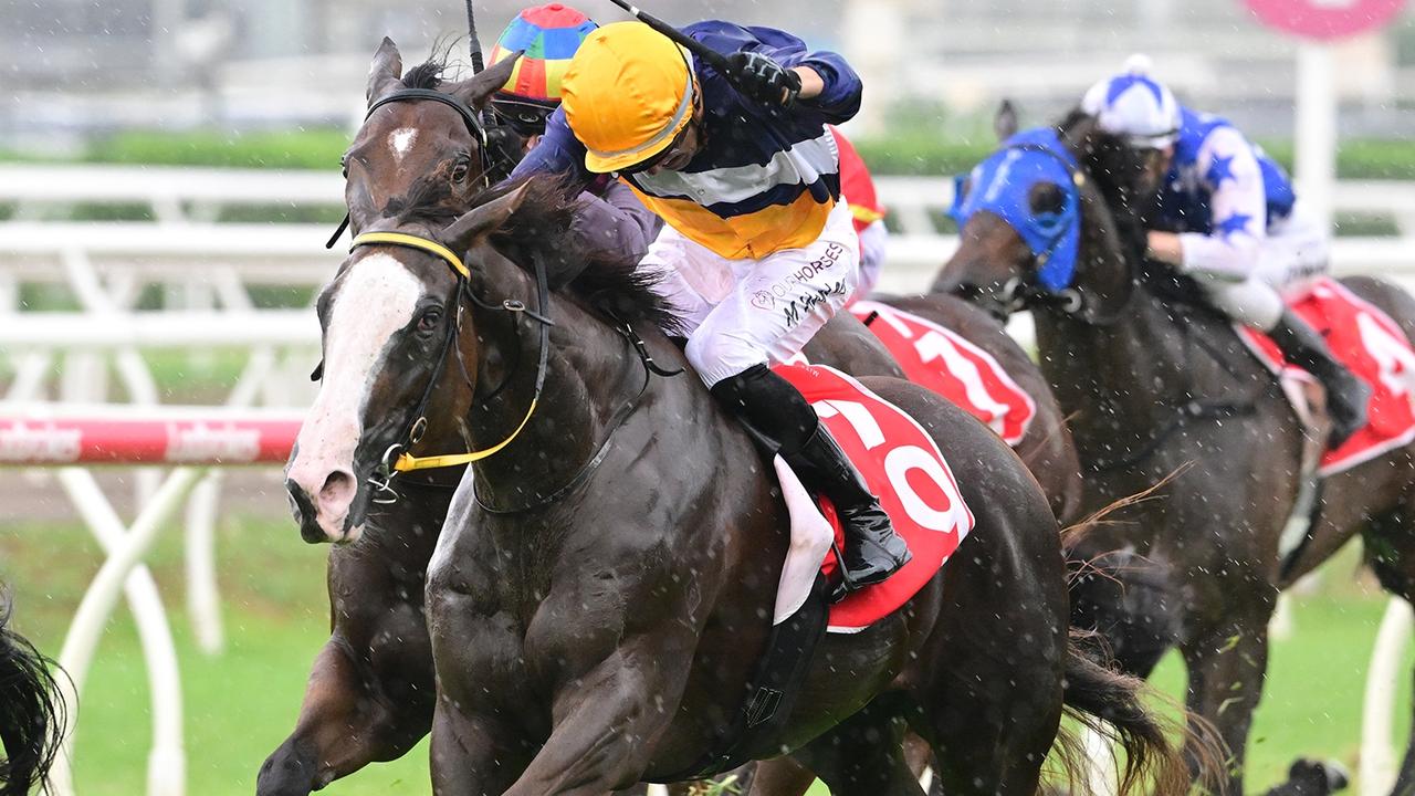 Supplied Editorial Abounding defies a storm at Eagle Farm to win the Listed Gold Edition
  Plate for jockey Martin Harley. Picture: Grant Peters - Trackside Photography