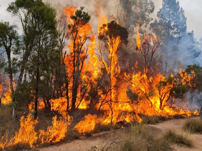 Qld homes most at risk ahead of freak bushfire season