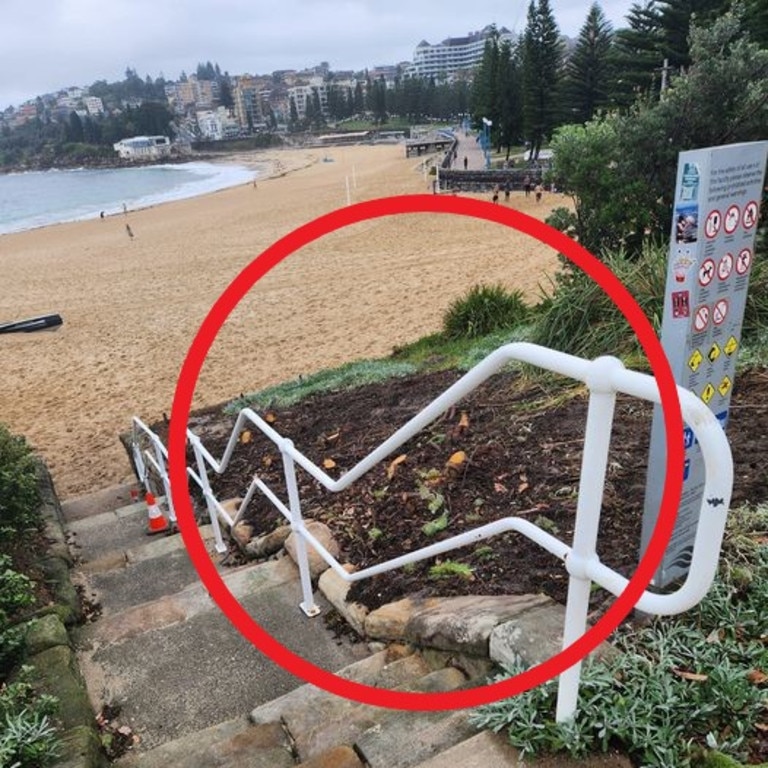 A group of cut-down trees has sparked fury in a popular beachside suburb, but not all it as it seems.