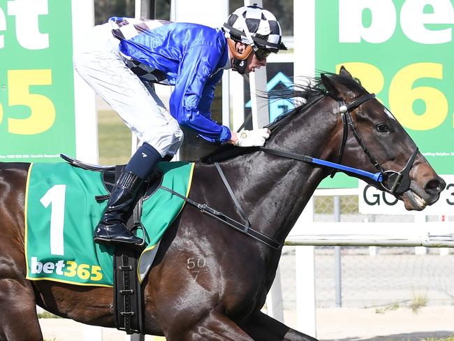 Baron Of Bedford (NZ) ridden by Michael Dee wins the bet365 Racing Refunds Maiden Plate at Kilmore Racecourse on September 28, 2021 in Kilmore, Australia. (Pat Scala/Racing Photos via Getty Images)