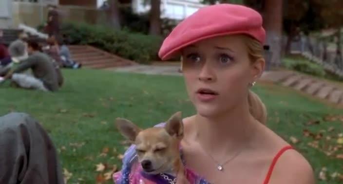 Legally Blonde - Trailer