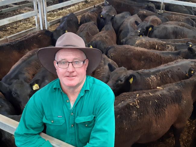 Jack Mahoney, manager Spacorp at Merrijig, with the property’s feature line of autumn drop steer weaners which made from $2380 to $2440 to return up to 850c/kg liveweight at Wodonga.