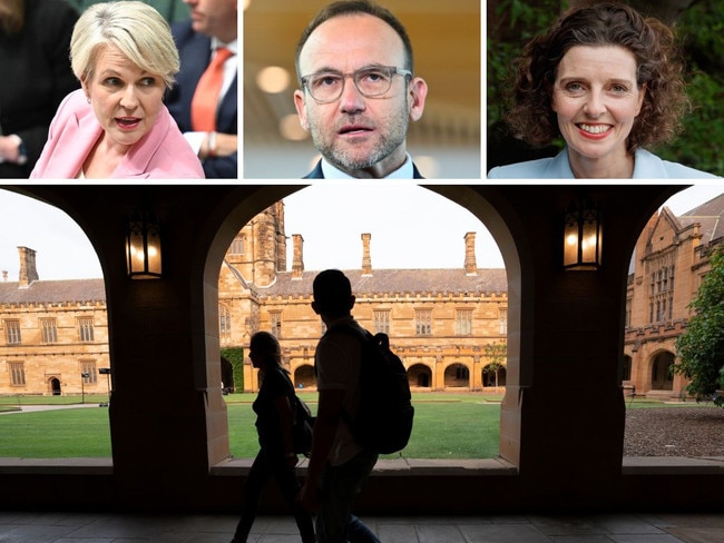 The majority of student debt cuts are likely to go to people in inner-city seats held by Labor, Greens and teal MPs, like Tanya Plibersek's Sydney, Adam Bandt's Melbourne, and Allegra Spender's Wentworth.