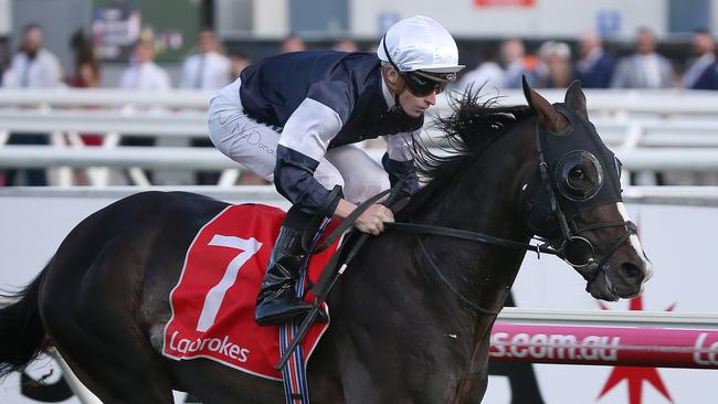 The Irish Yucatan winning at Caulfield. Picture: Michael Klein