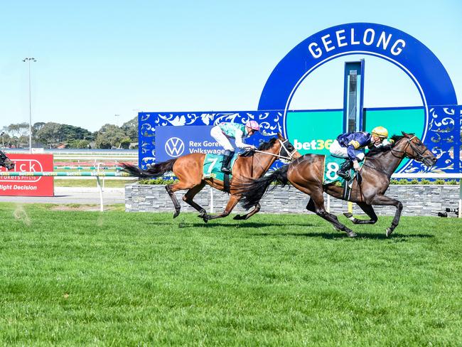 Emissary (GB) ridden by Blake Shinn wins the bet365 Geelong Cup. Picture: Brett Holburt