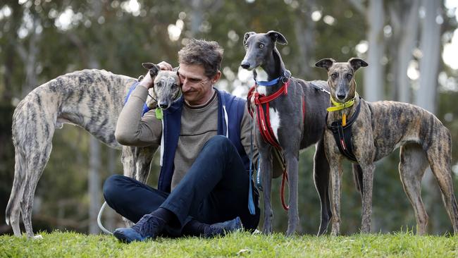 Matt Tirpak pictured with his three adopted greyhounds Flanders, Lucy and Boo Picture: Sam Ruttyn