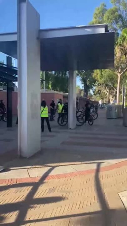 Teenagers cause havoc at Melbourne Zoo