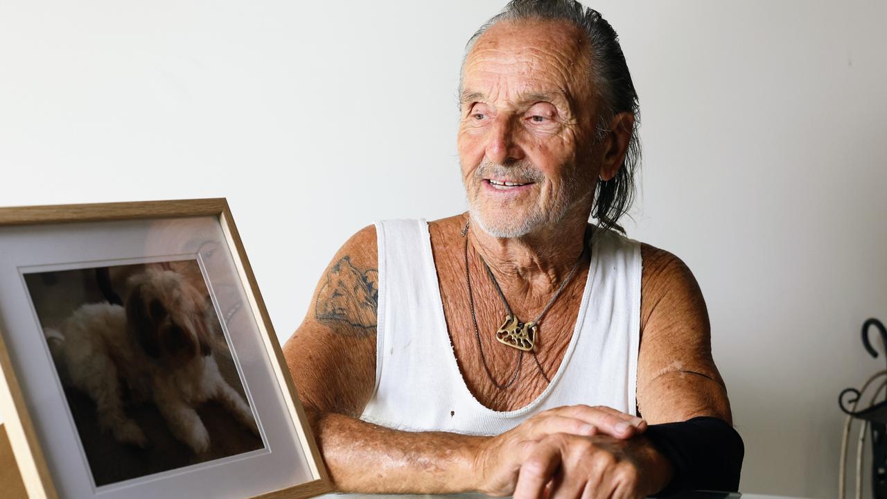 George Karlsson was walking his beloved Maltese Terrier Olle at Clifton Beach when the dog was attacked by two bull mastiffs. Olle later succumbed to his injuries at the Marlin Coast Veterinary Hospital. Picture: Brendan Radke