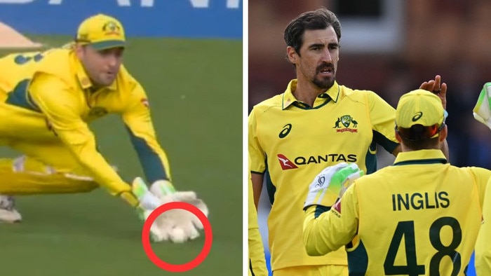 Australian wicketkeeper Josh Inglis and Mitchell Starc.