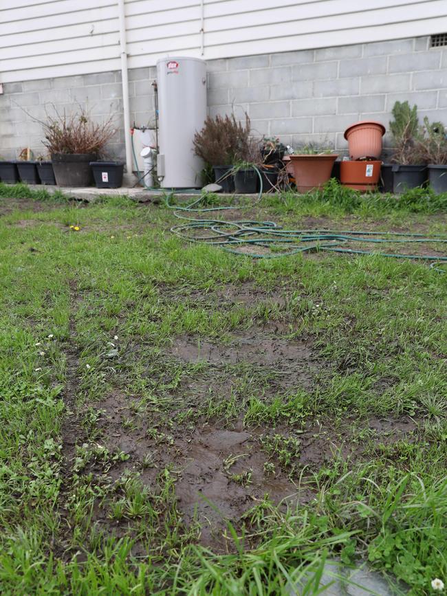 Large amounts of water in the backyard from what’s believed to be a leaking pipe. Picture: Nikki Davis-Jones