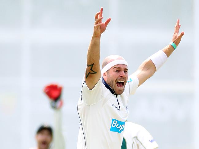 Victoria's Jayde Herrick celebrates the wicket of Tasmania's captain George Bailey at Blundstone Arena in 2011.