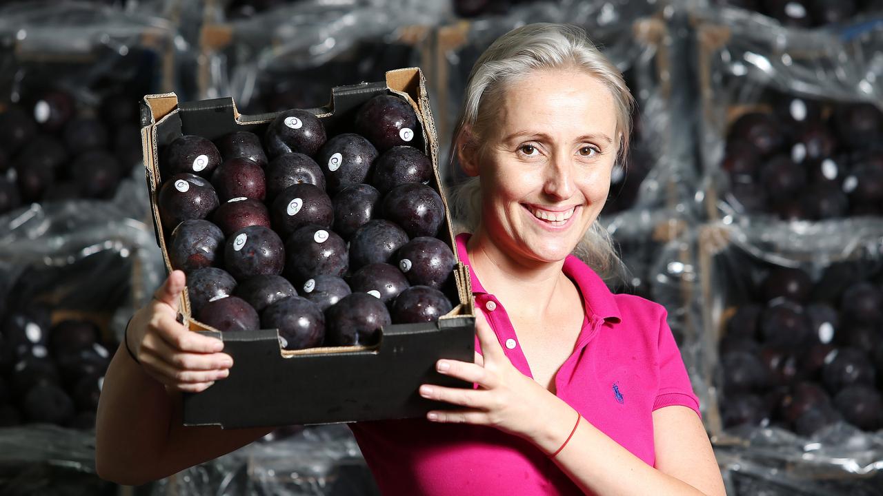 Queensland-developed Queen Garnet plum targets China for growth The Courier Mail