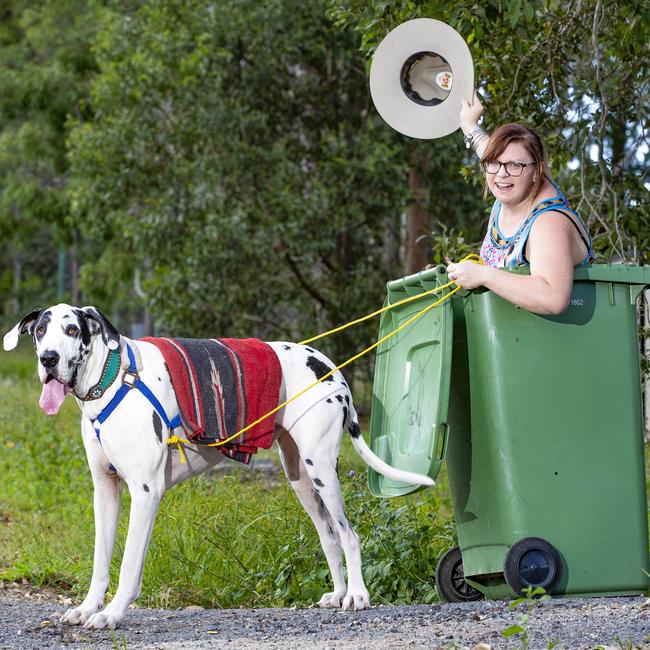 Nicole Brandon of Park Ridge South and her five-year-old Great Dane Baxter in their Bin Hur chariot. Picture: Renae Droop