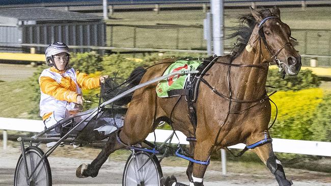 San Carlo was one three Victorians to qualify for the Inter Dominion finals. Picture: Stuart McCormick