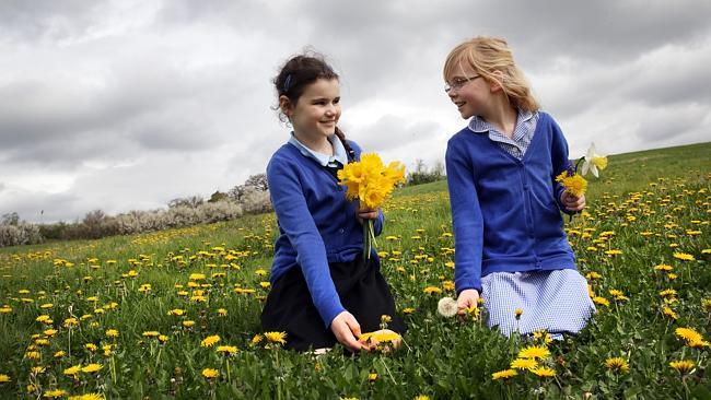 In their honour ... children at Harefield Junior School pick flowers for the graves of Anzac soldiers. Picture: Ella Pellegrini