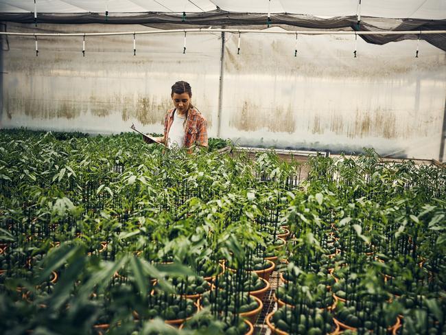 EMBARGO FOR TWAM 30 JAN 2021 FEE APPLIES Shot of a young woman taking stock of a garden center CR Getty Images