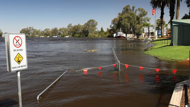 Flooding along the well-trodden footpath near the Renmark Club, taken on December 7. Picture: Dean Martin