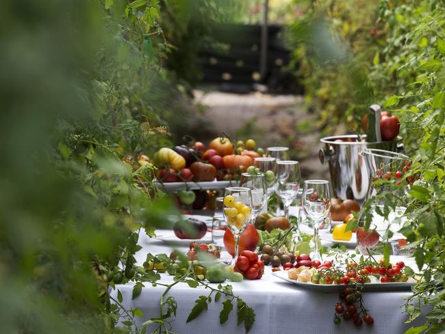 Off the Table produce from Tasmanian Natural Garlic and Tomatoes at Selbourne. Picture: CHRIS KIDD