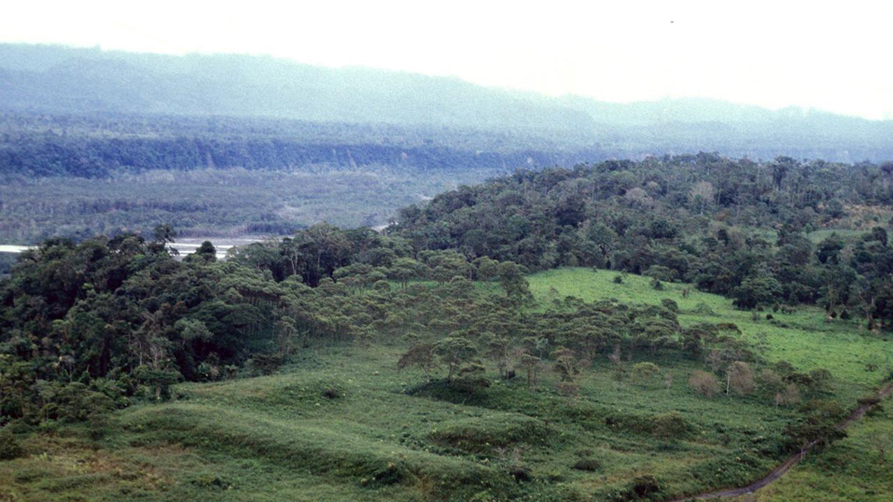 Giant ancient city found in the Amazon in Ecuador | news.com.au —  Australia's leading news site