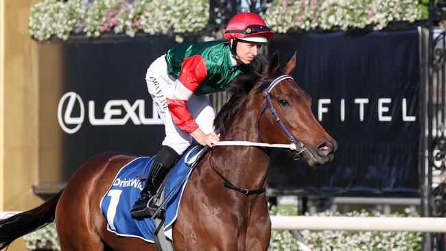 Amelia's Jewel on the way to the barriers prior to the running of the Furphy Let's Elope Stakes at Flemington Racecourse on September 16, 2023 in Flemington, Australia. (Photo by George Sal/Racing Photos via Getty Images)