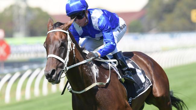 Kerrin McEvoy got the chance to ride Winx in an exhibition gallop — and he will never forget it. Picture: Simon Bullard