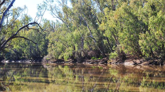 Rising hope: 2020-21 is shaping up to be a decent irrigation season for Victorian irrigators, on the back of steady storage inflows.