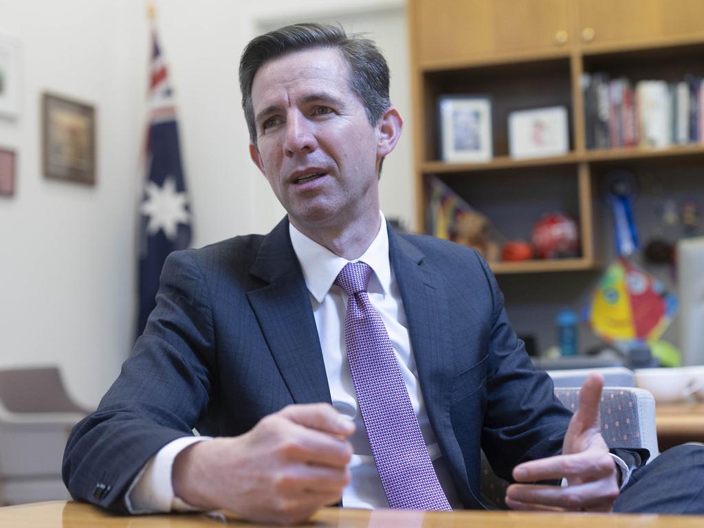 Trade Minister Simon Birmingham says he is working with Australian industry to try to safeguard Australian jobs. Picture: NCA NewsWire / Gary Ramage