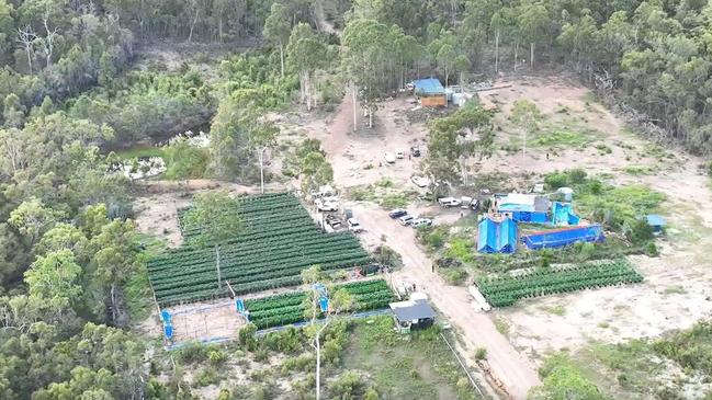 Twenty eight people have been charged after State Drug Squad after three multi-million-dollar cannabis farms were uncovered following investigations under Operation Whiskey Alon in the North Coast and Central Regions.