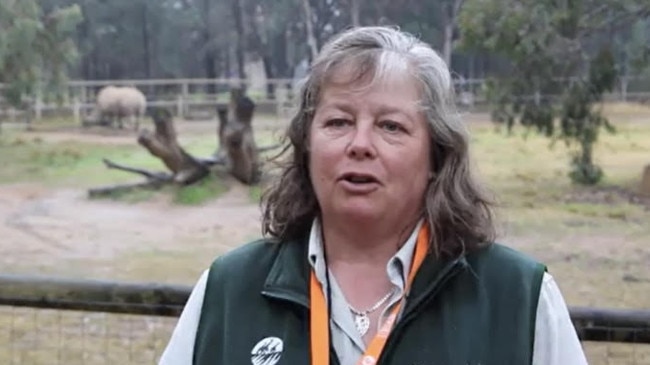 Senior keeper Fiona Cameron welcoming a white rhino calf at Taronga Western Plains Zoo.