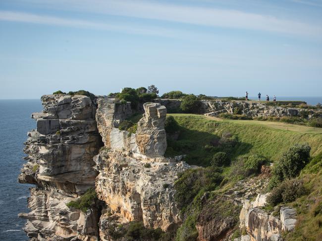 The cliff where a 50-year-old man fell and died at North Bondi. Picture: Julian Andrews